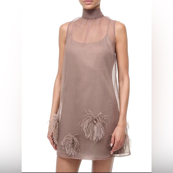 STAUD Dresses & Skirts - STAUD Sheer Tan Dress with Feather Accents